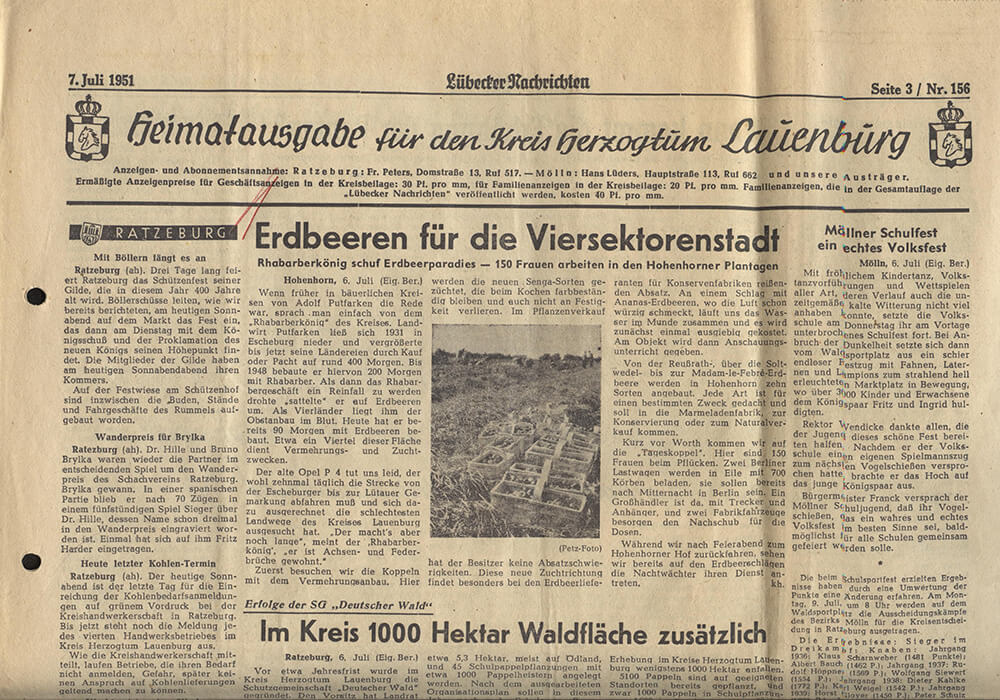 Erbeeren Putfarken Zeitungsartikel 1951