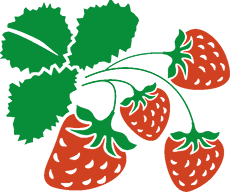 Putfarken Erdbeeren in Hohenhorn bei Hamburg